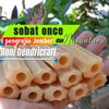 pratamasemar12
