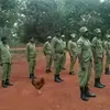 skfqi