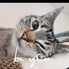 alexspooo