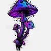 svampen_2