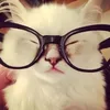 bananche_69