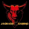 jagrassgaming