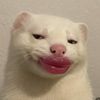 shibbeyybarleyy_