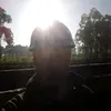 felipeteixeira2582