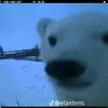 phamtuanbun