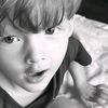 dimzz_doang