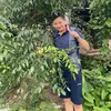 caosangsl