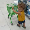 luigisic7