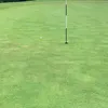 mrblankman