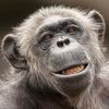onemonkey277