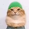 gotka_fotka