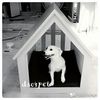 Dec4pet