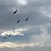 iq_u12