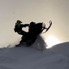 backcountrybear
