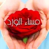 user1825560260517