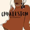 charlestonaccesorios