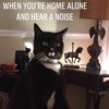 noienonie