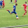 schifo99