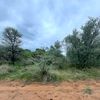 buzzdmaps