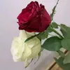 user2260188311067