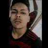 leo_silvanns