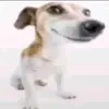 glombyfn