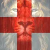 3n1gm4t1c93