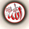 hichamelhanafi0