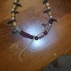 coondog405