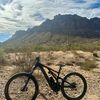 arizonian
