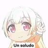 noodlemd