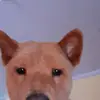 pretabarbosa0