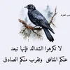 omissam7