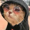 vivisb1