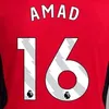 amad16fc
