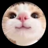 ilovelymun