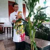 thucnguyen401