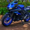 r15do_lipe