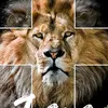 rafael.costa02