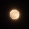 i_niina1