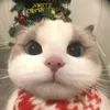 meicutieee_