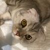 faten3355