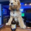 dierksthedoodle
