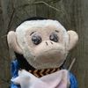 walkmanmonkey79