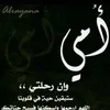 user346018381