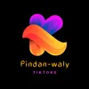 pindanaly.01