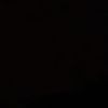 arion_f.f