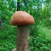snegovichok2