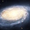 universe__