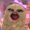 bongiucute_1712